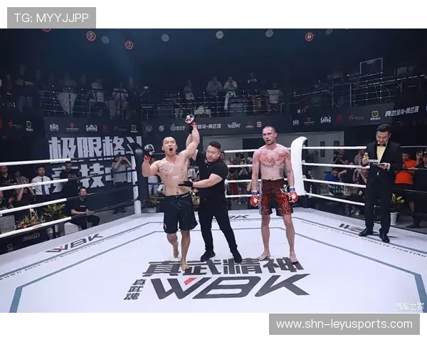 “拳脚出击，自由搏击赛场硝烟四起！”